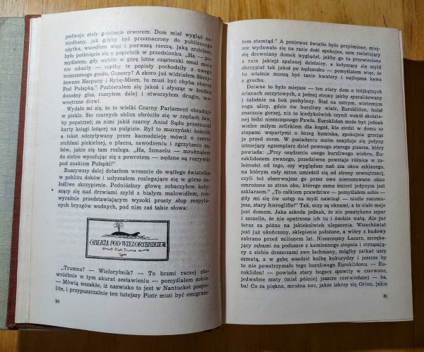 H. Melville. Moby Dick czyli Biały Wieloryb - obrazek 2