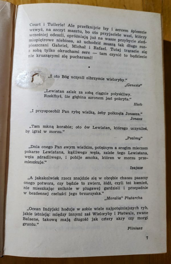 H. Melville. Moby Dick czyli Biały Wieloryb - obrazek 4